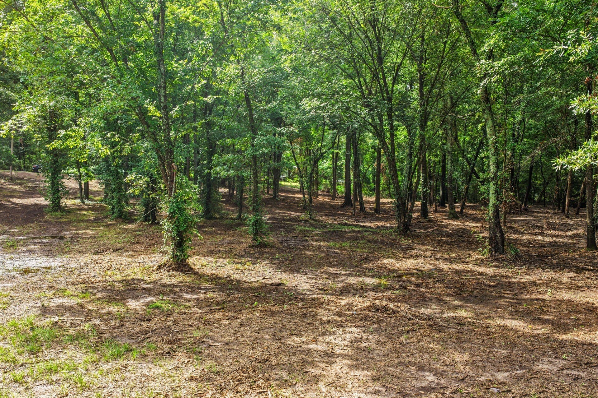 2.1 acres in Franklin (TX) County - photo 9