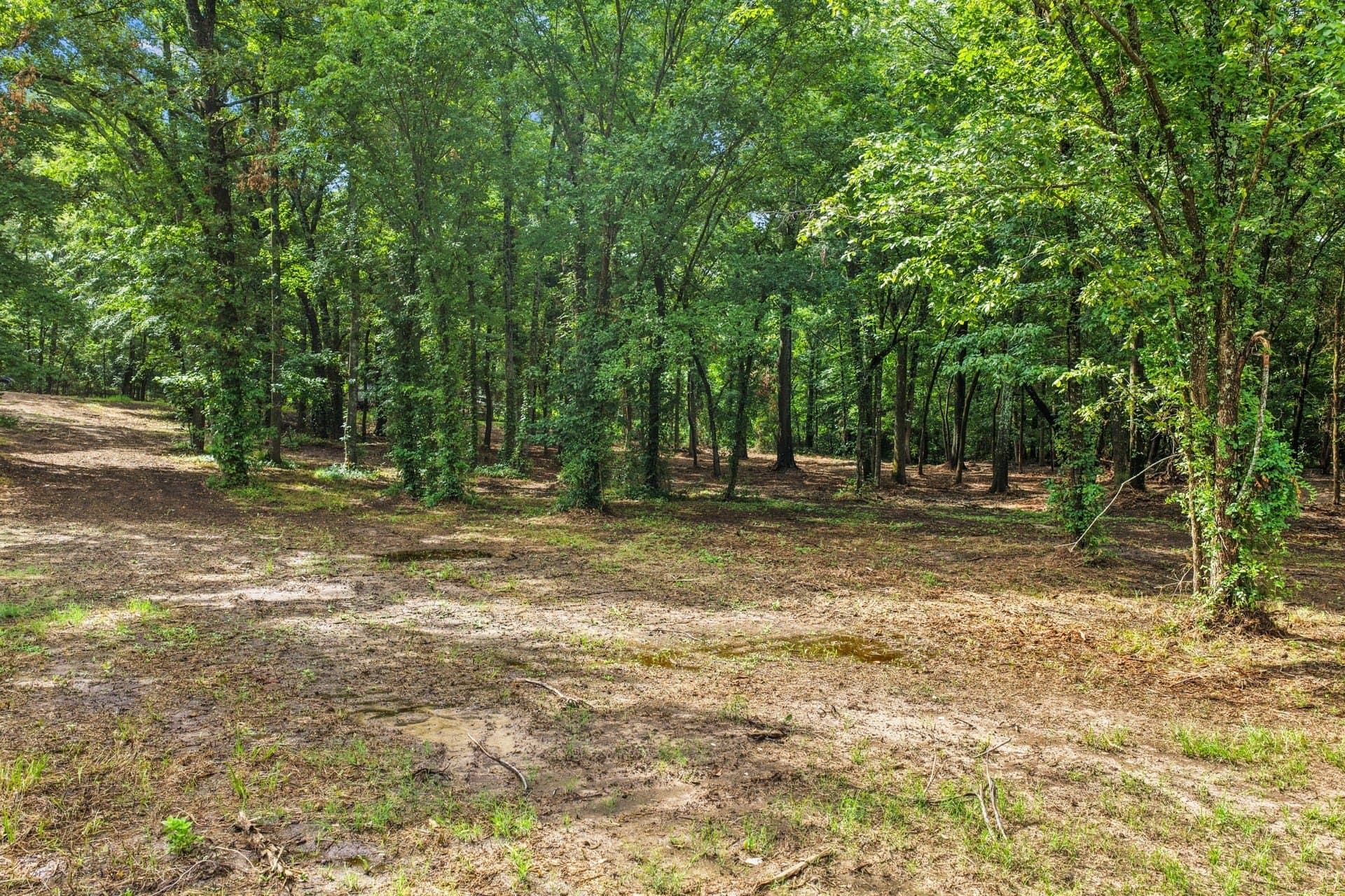2.1 acres in Franklin (TX) County - photo 12