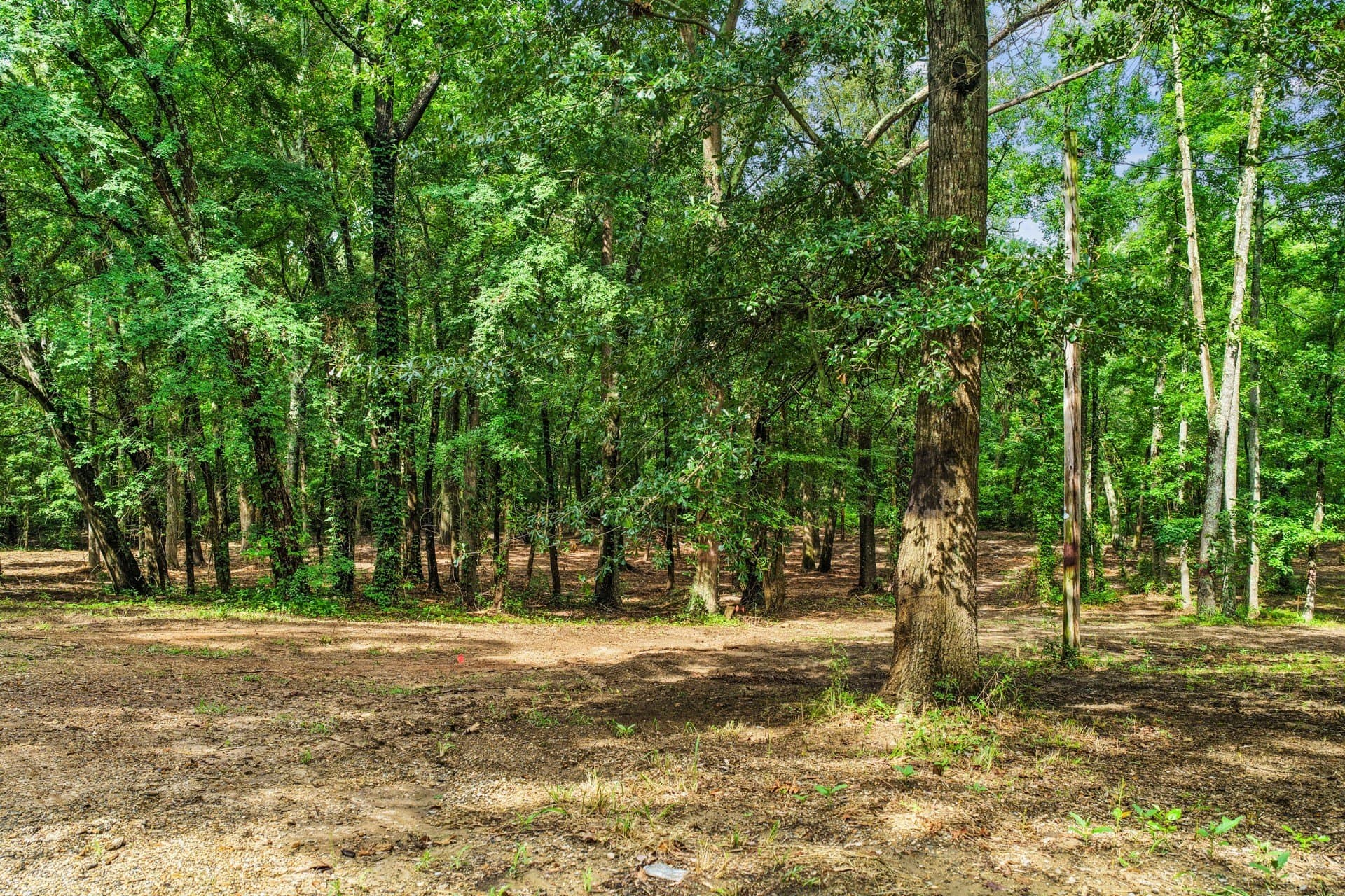2.1 acres in Franklin (TX) County - photo 3