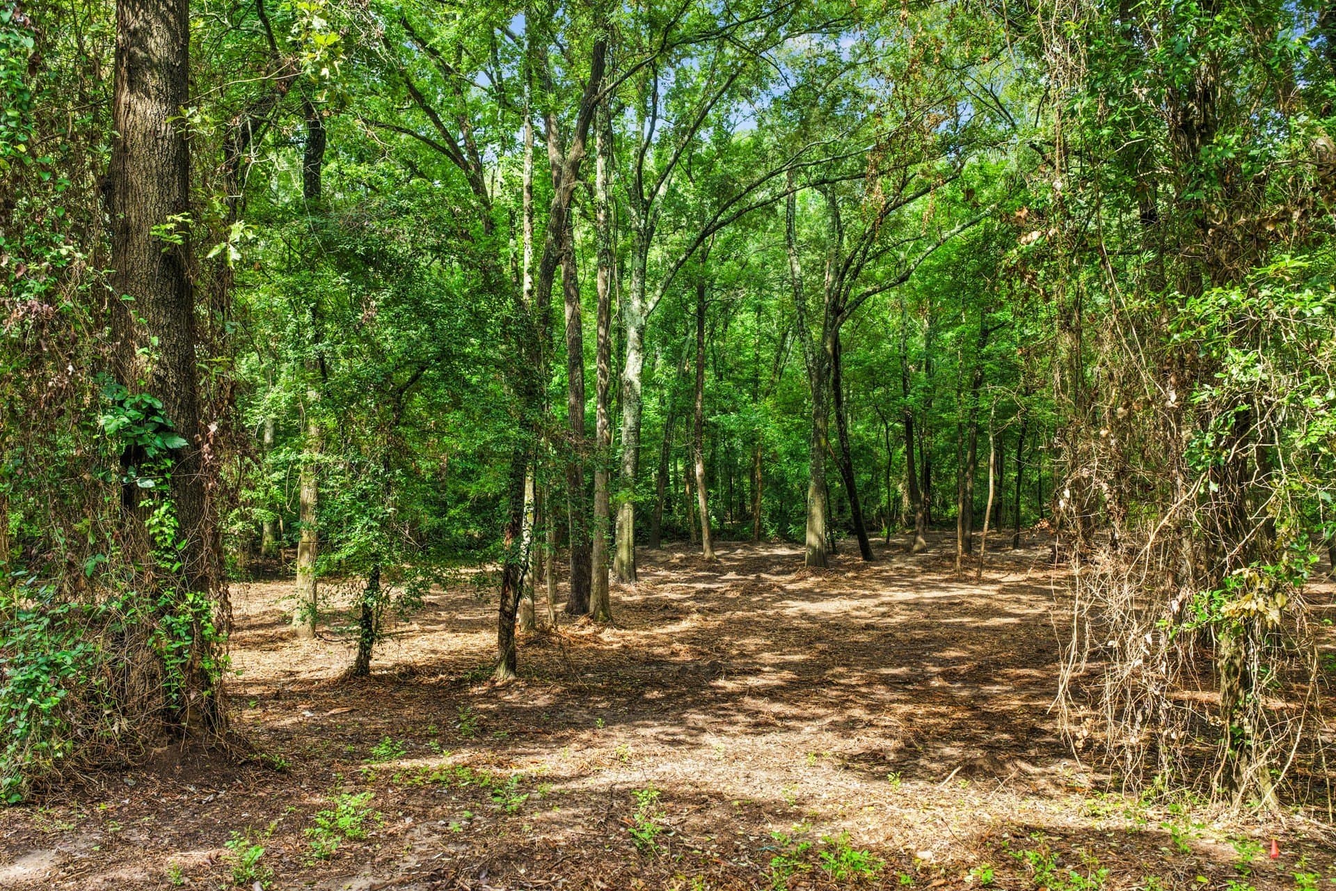 2.1 acres in Franklin (TX) County - photo 5