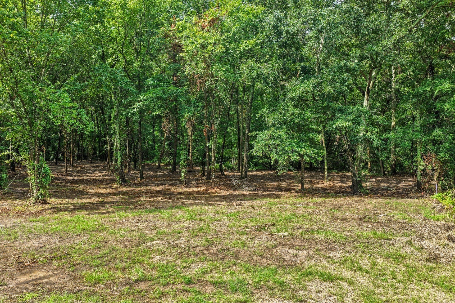 2.1 acres in Franklin (TX) County - photo 13