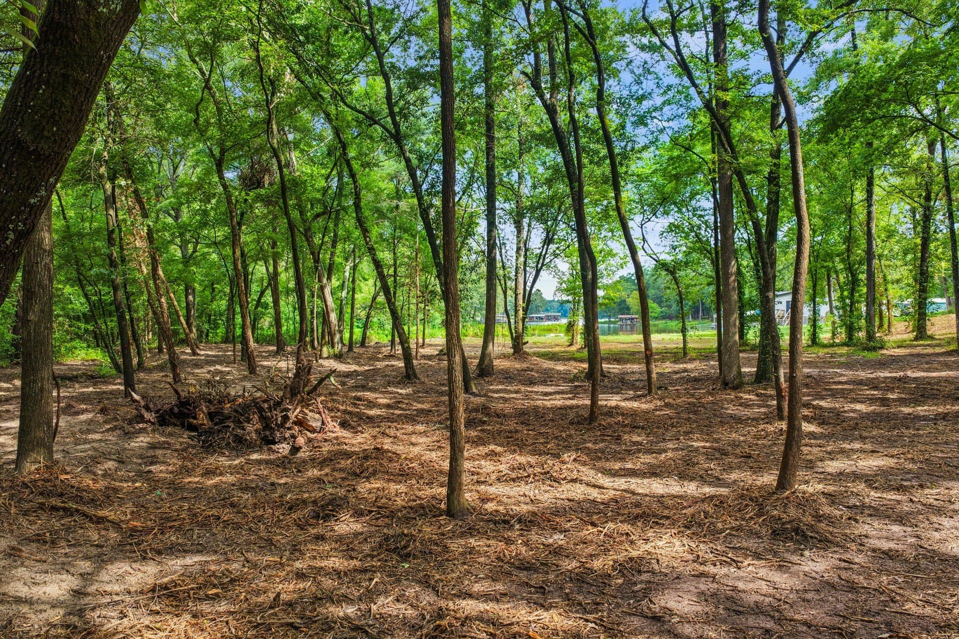 2.1 acres in Franklin (TX) County - photo 8