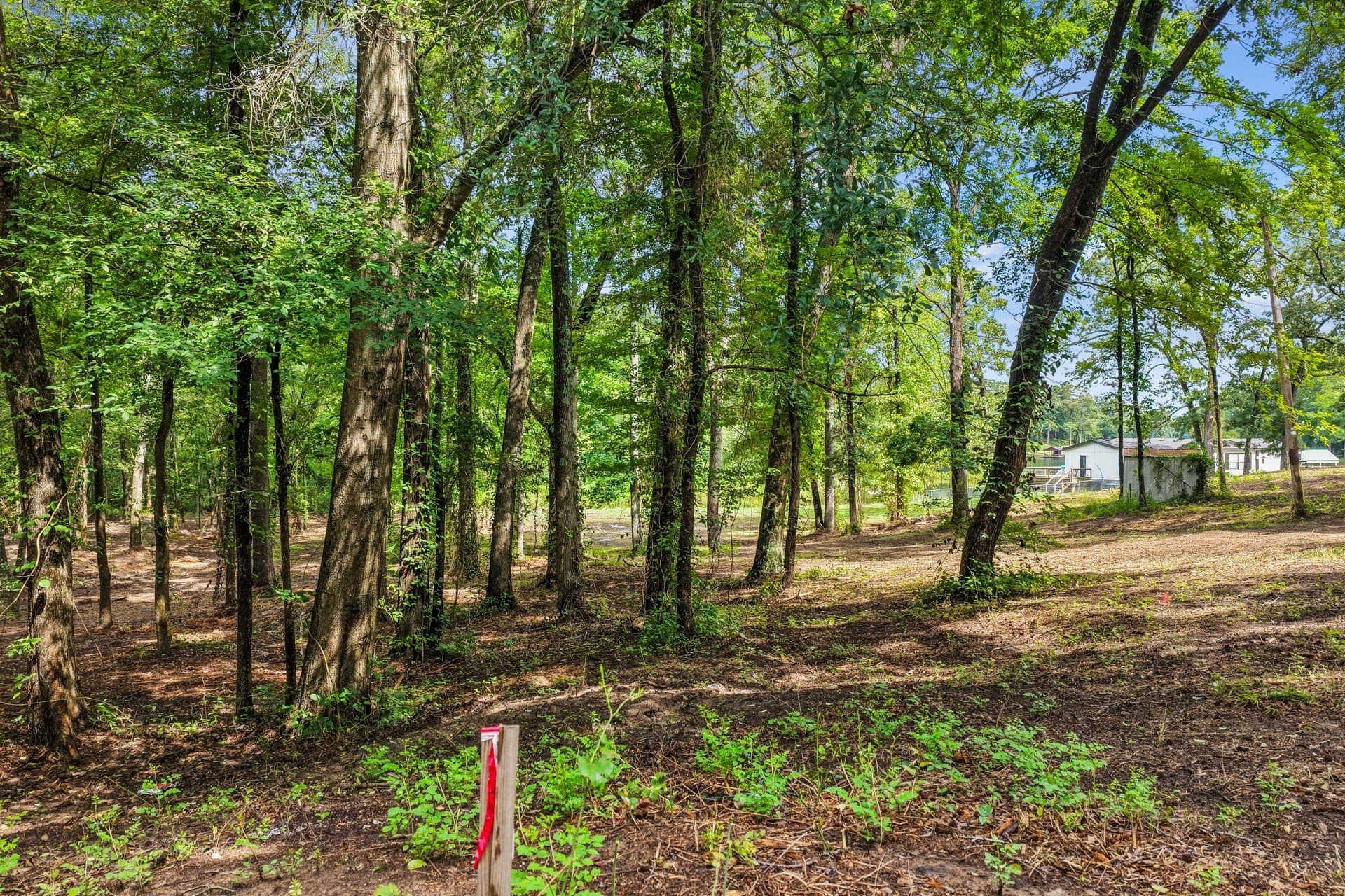 2.1 acres in Franklin (TX) County - photo 6