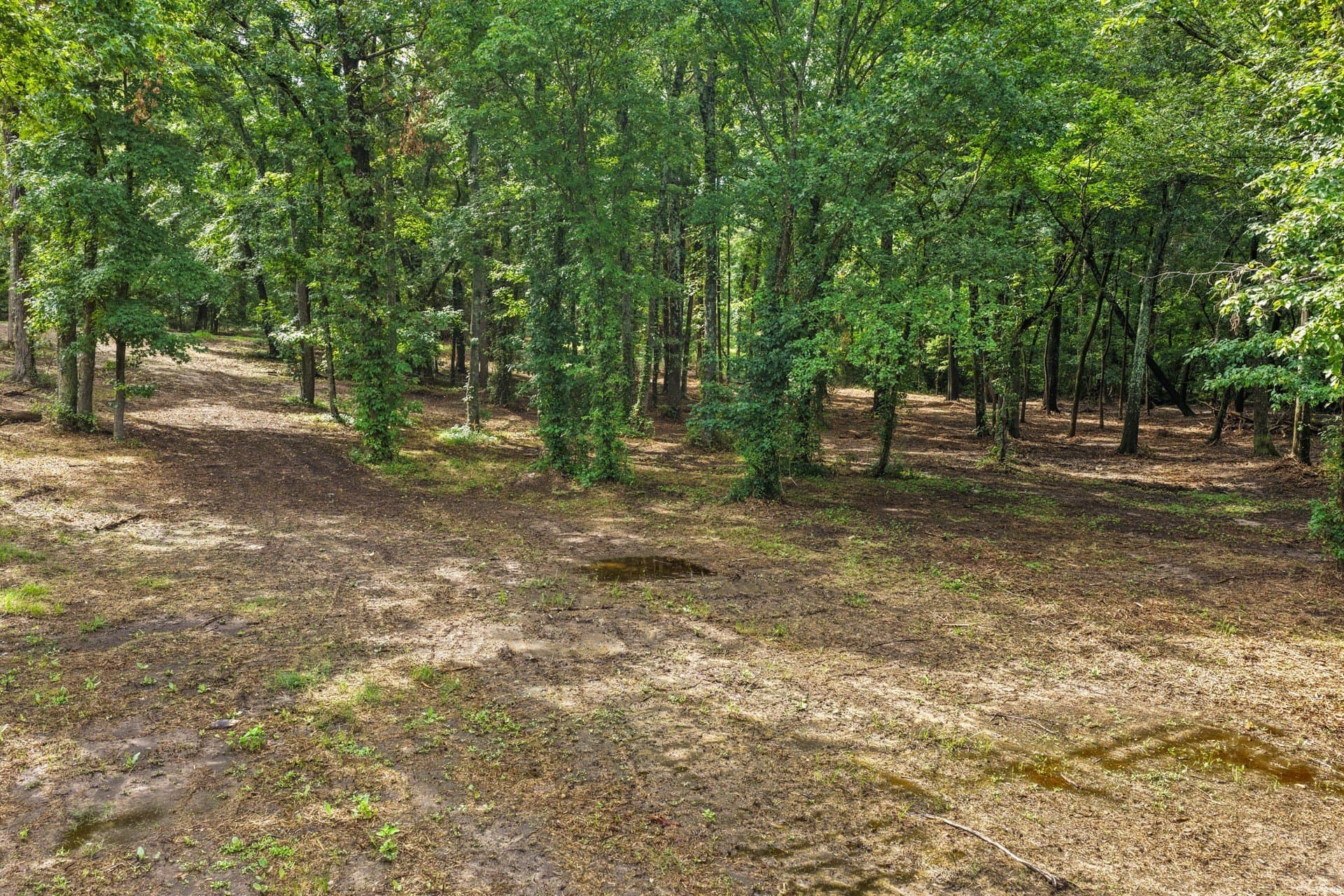 2.1 acres in Franklin (TX) County - photo 14