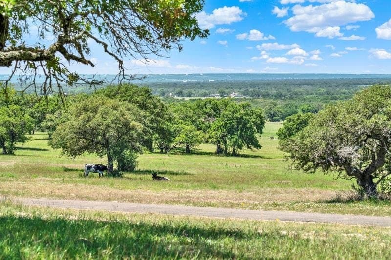 62 acres in Gillespie County gallery image 2