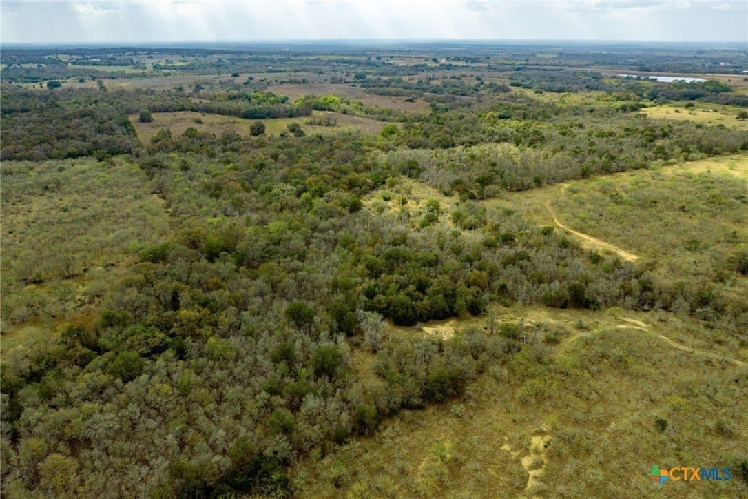 10.01 acres in Caldwell County gallery image 4