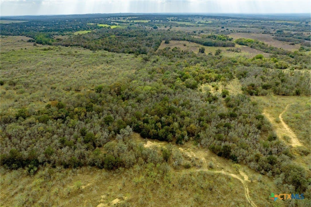 10.01 acres in Caldwell County gallery image 3