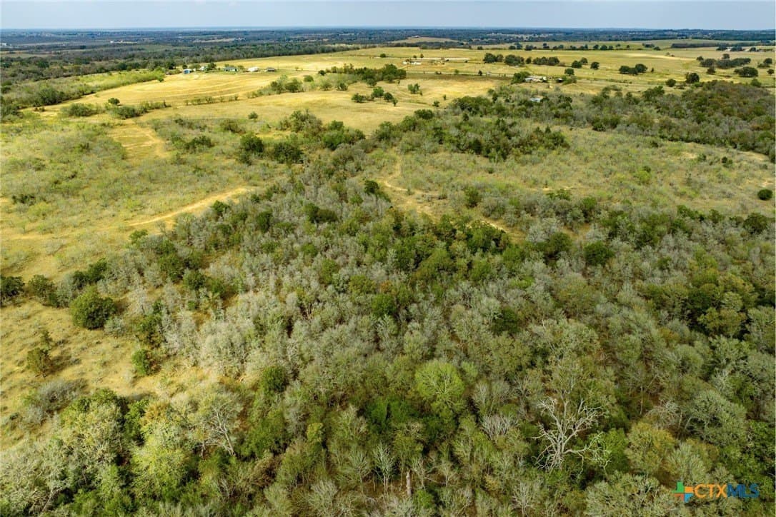 10.01 acres in Caldwell County gallery image 2