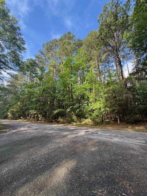 0.25 acres in Texas County gallery image 4