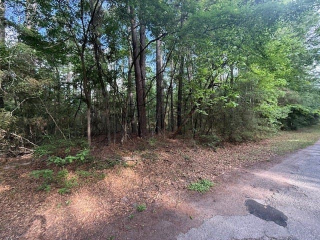 0.25 acres in Texas County gallery image 2