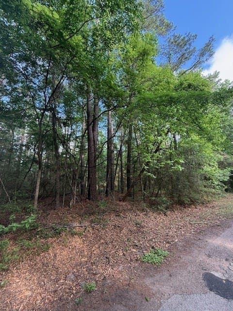 0.25 acres in Texas County gallery image 3