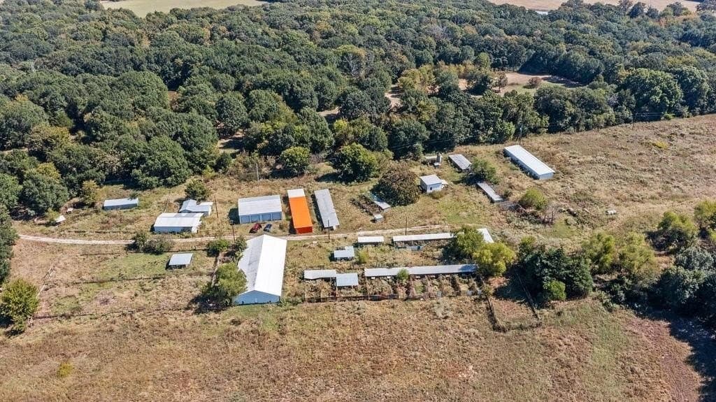 42.06 acres in Fannin County gallery image 3