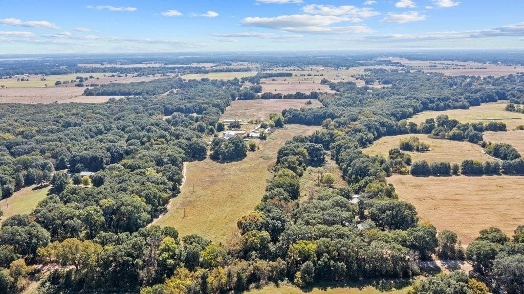 42.06 acres in Fannin County gallery image 2