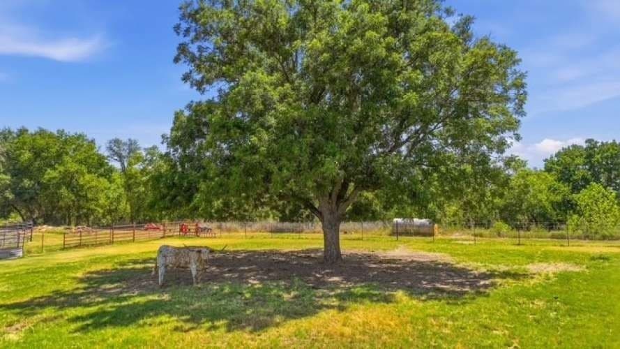 22.1 acres in Parker County - photo 36