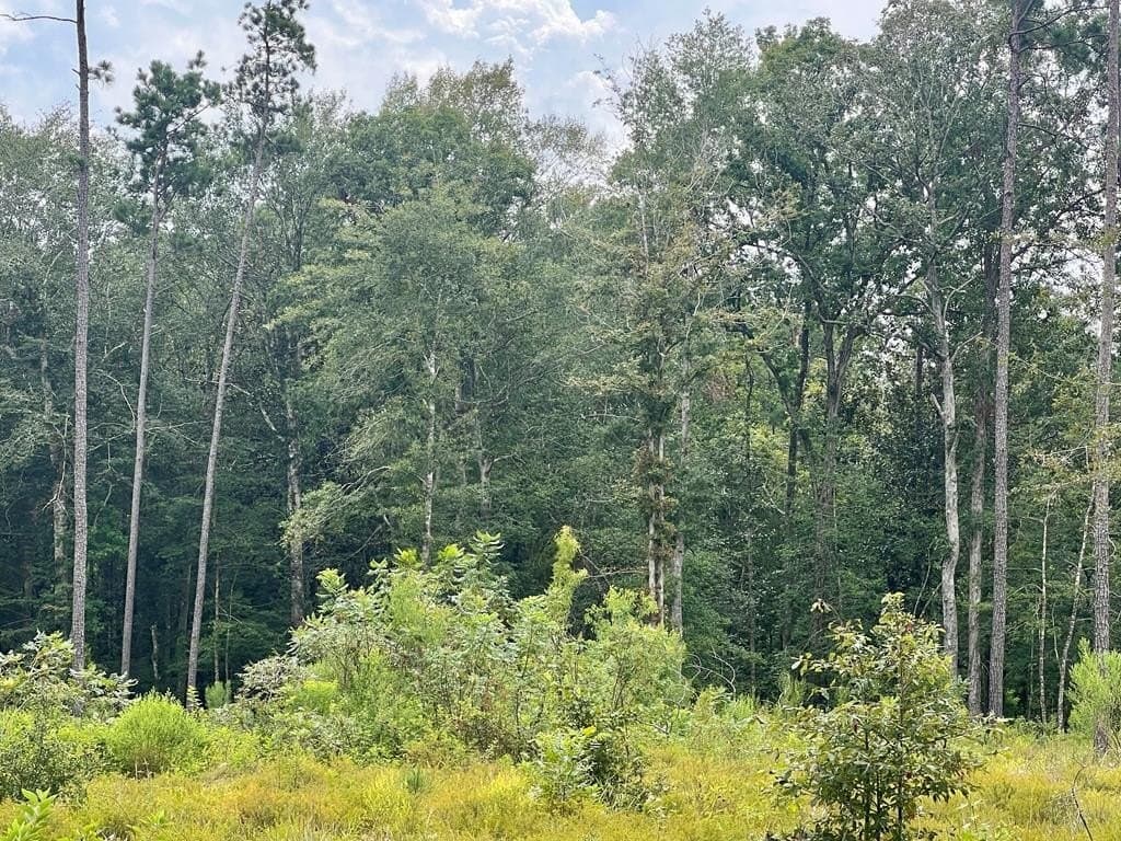 9.91 acres in Texas County