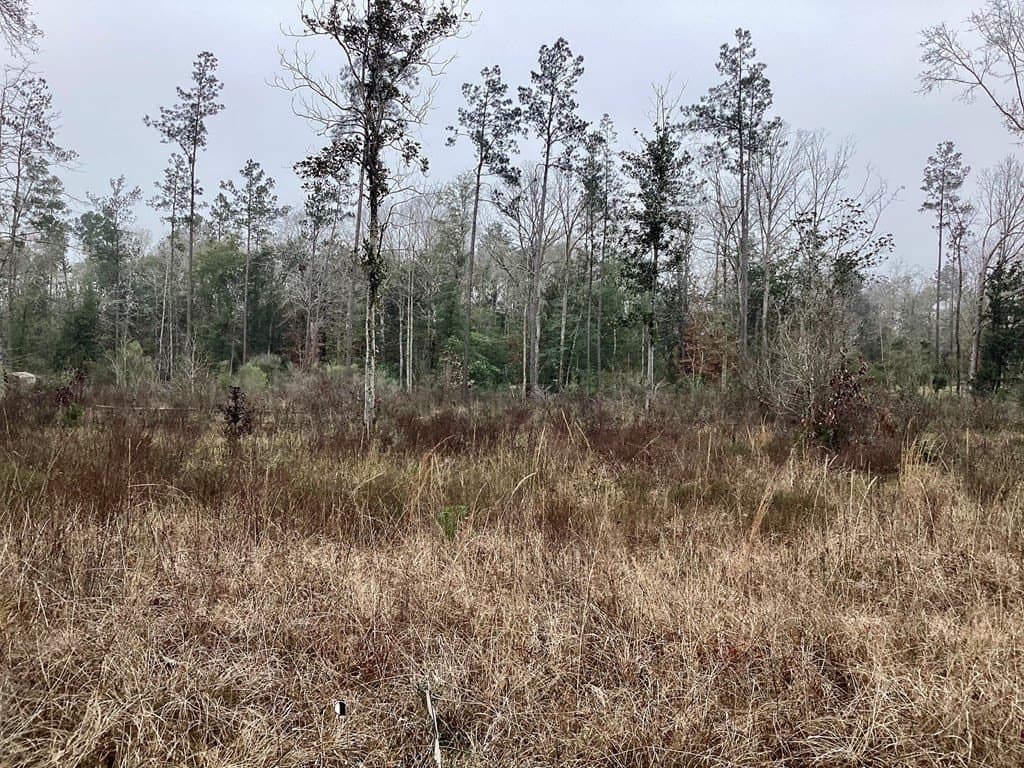 9.91 acres in Texas County featured view