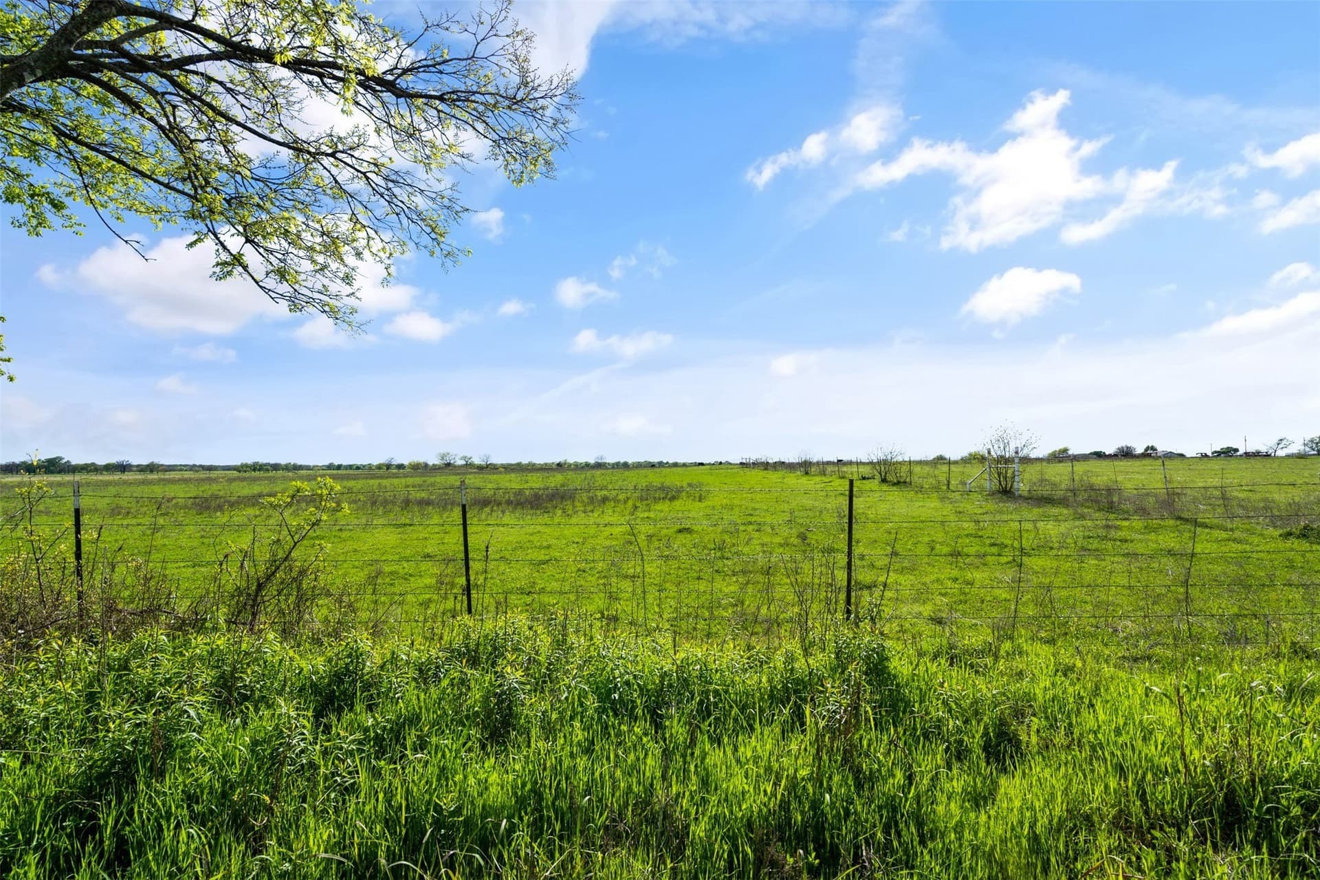 99.74 acres in Johnson County - photo 18