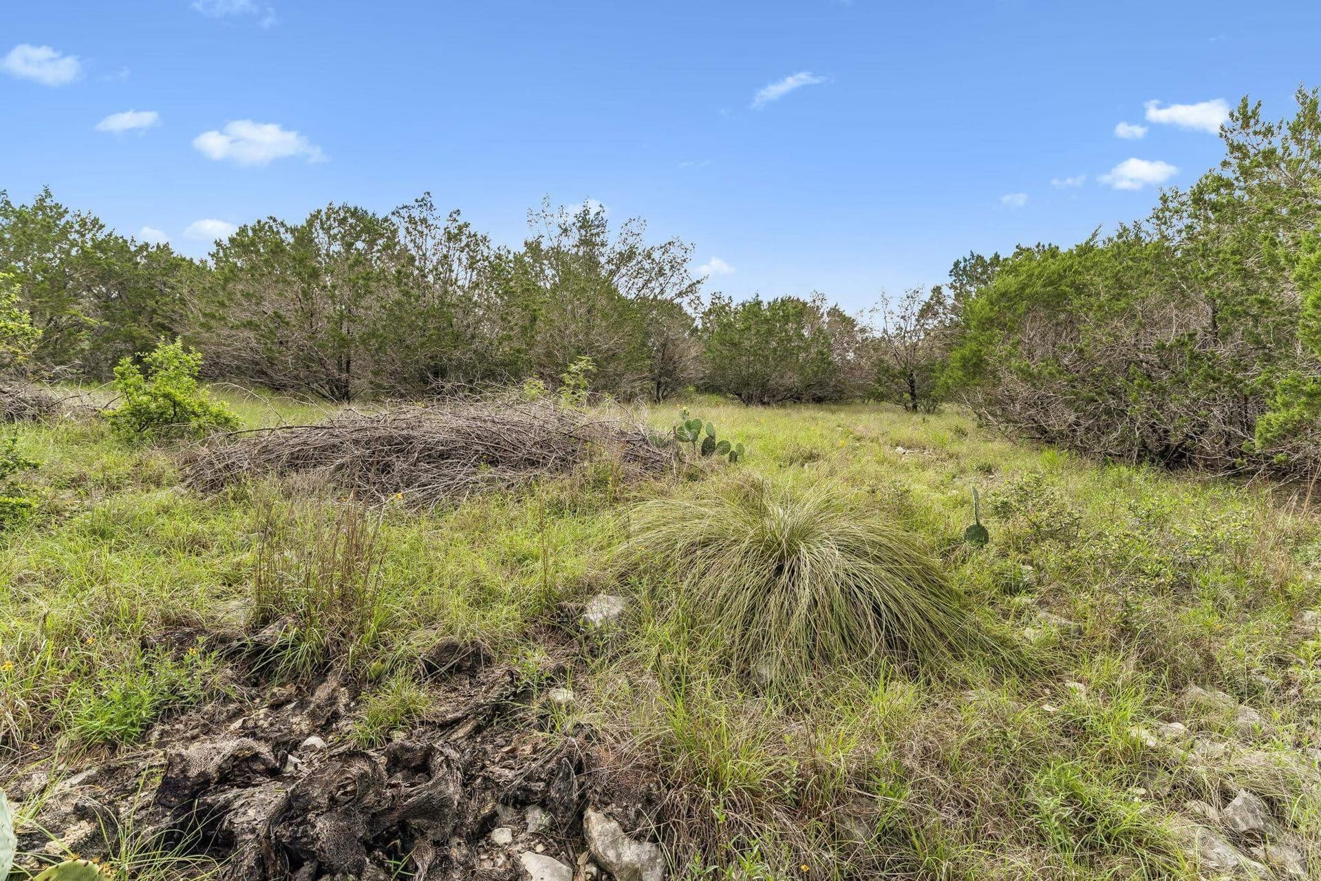 1.56 acres in Comal County - photo 10