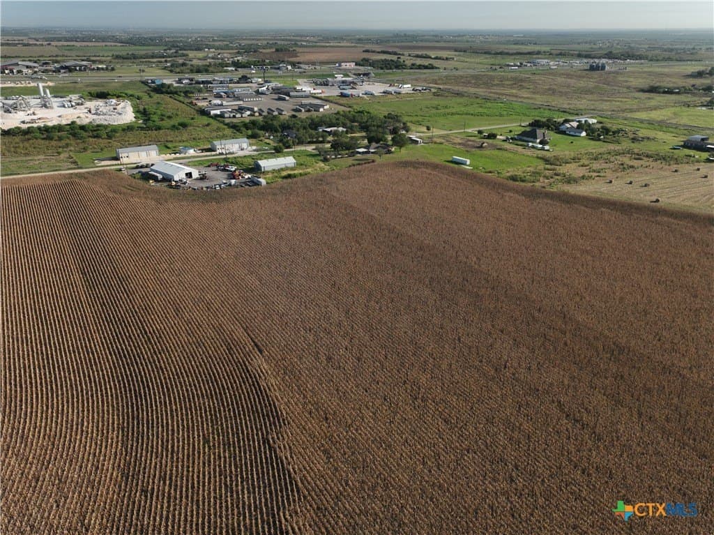 53.86 acres in Guadalupe County gallery image 3