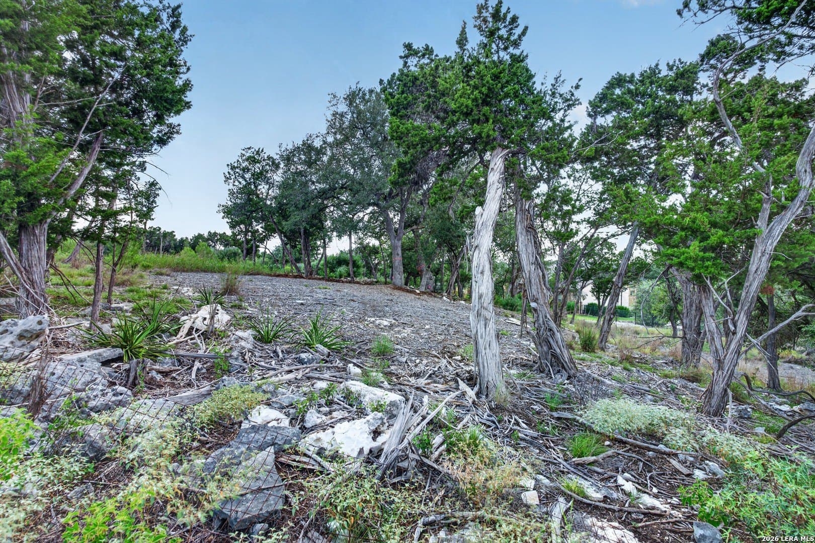 1.12 acres in Comal County - photo 9
