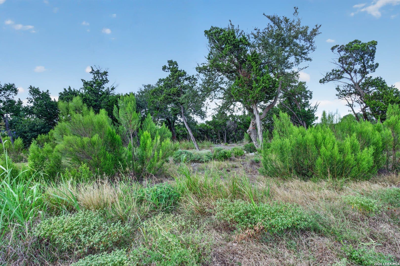 1.12 acres in Comal County - photo 6