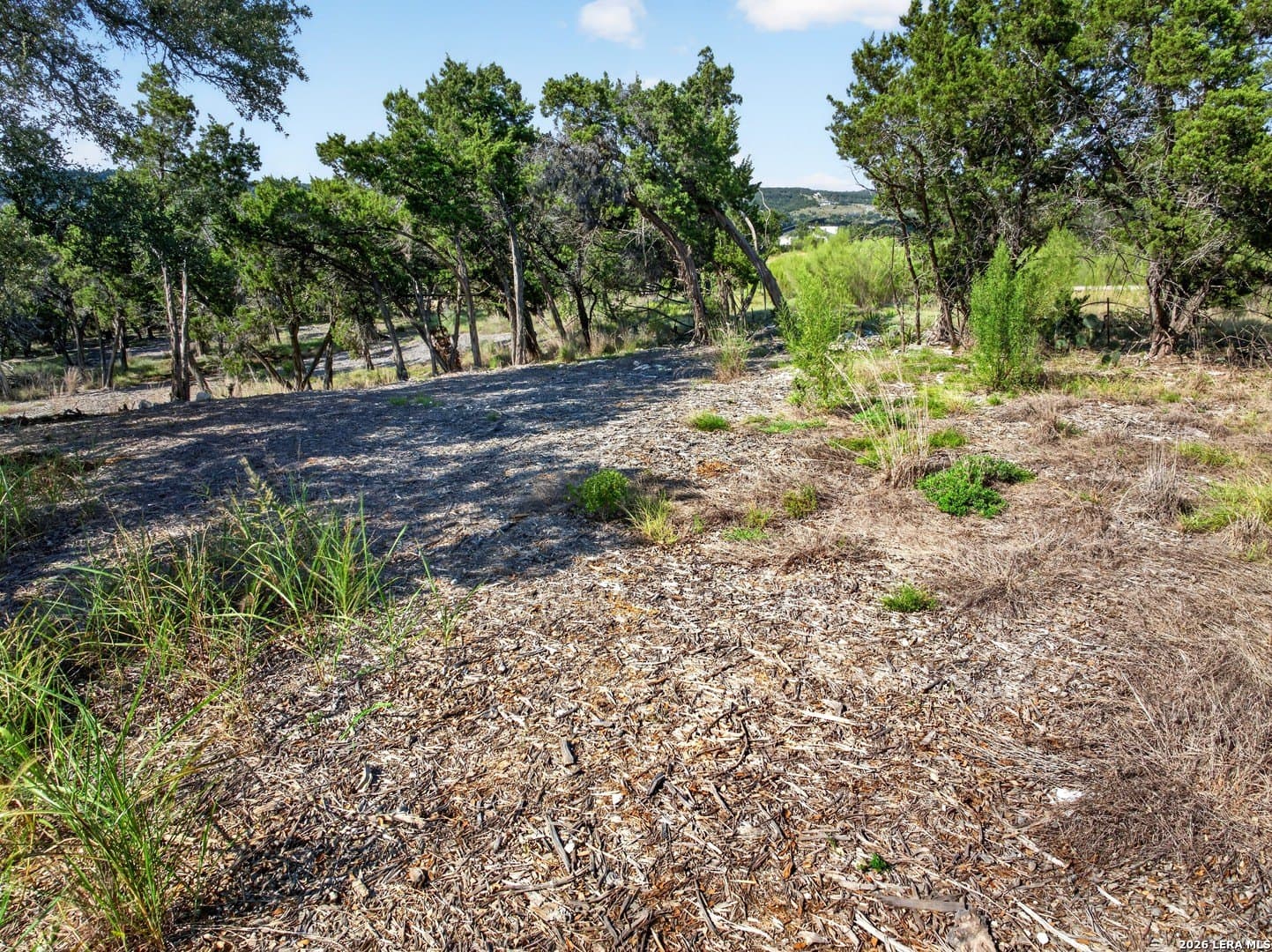 1.12 acres in Comal County - photo 21