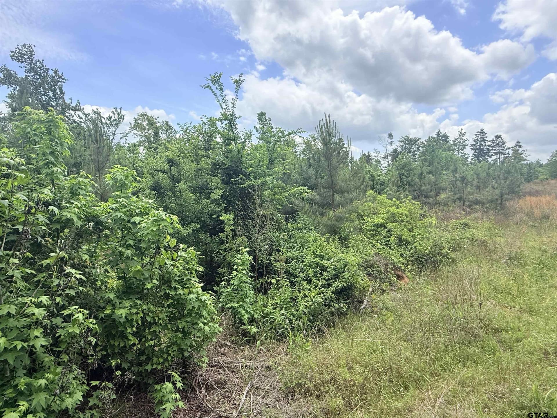 17.78 acres in Rusk County gallery image 4