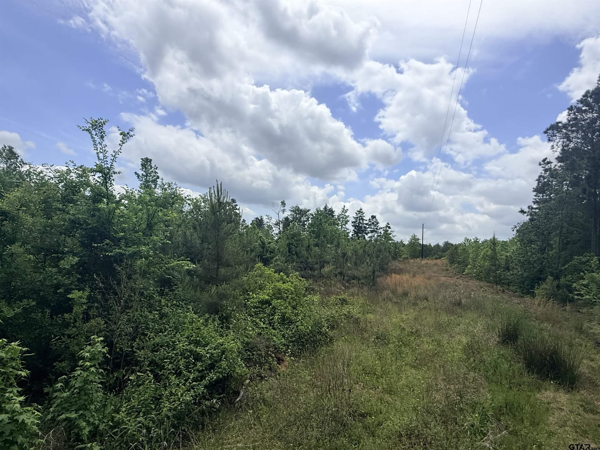 17.78 acres in Rusk County gallery image 3