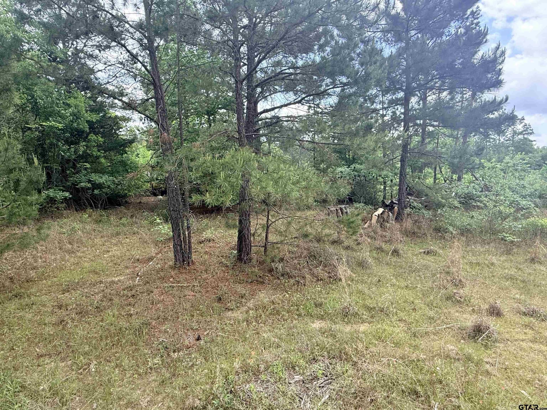 17.78 acres in Rusk County featured view