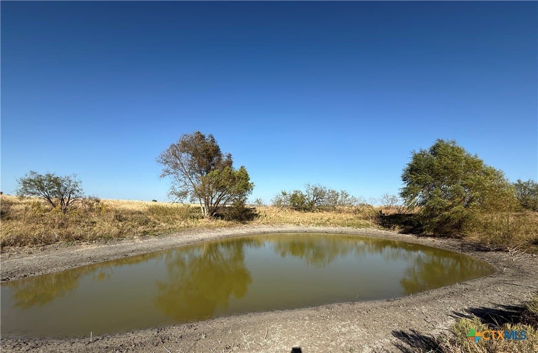 54.48 acres in Falls County gallery image 4