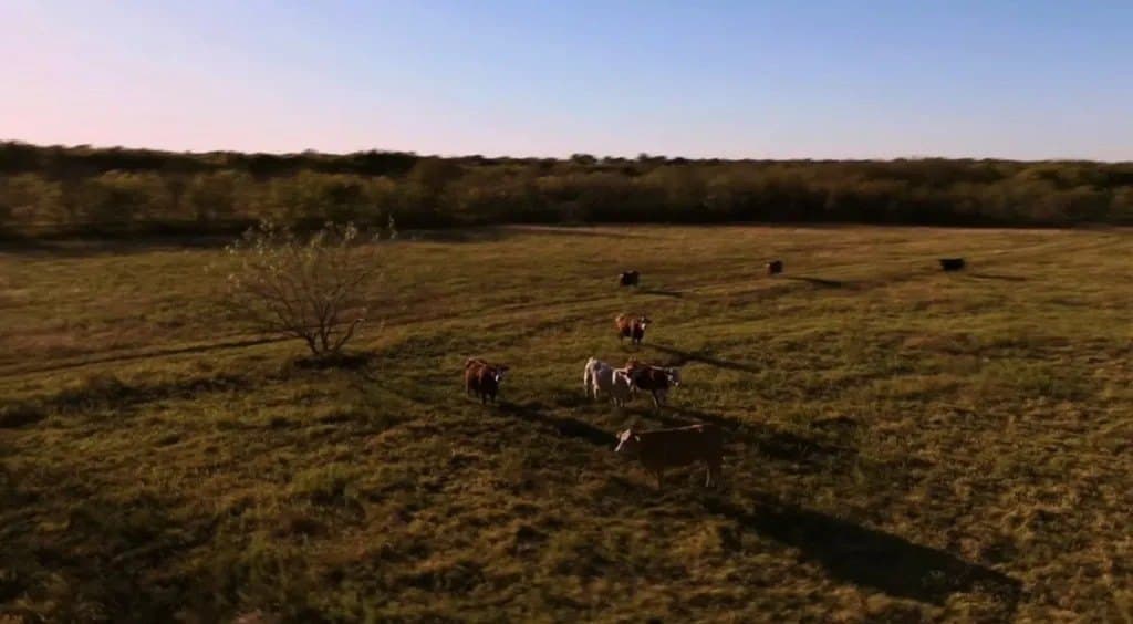 160.73 acres in Ellis County - photo 10