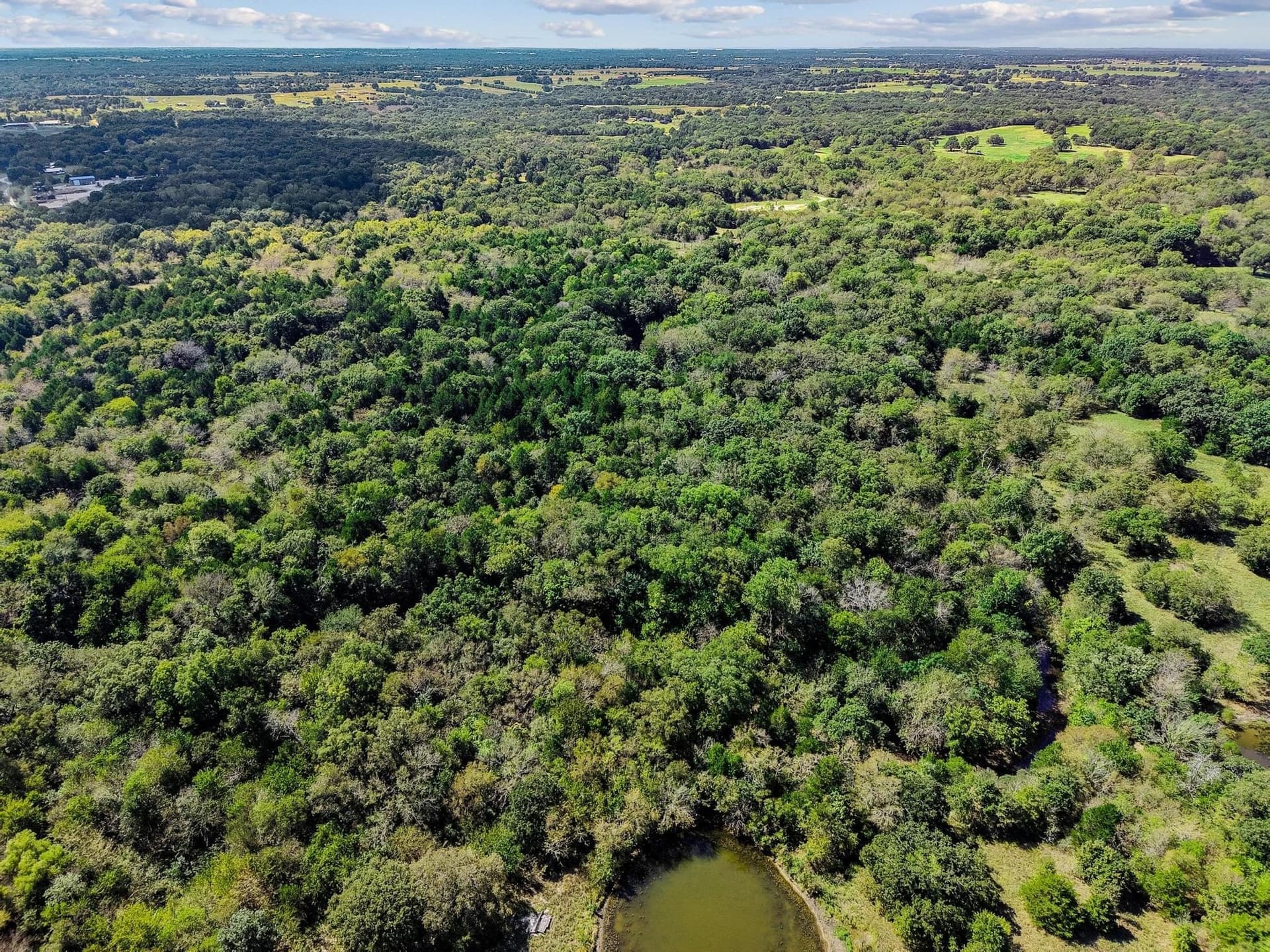 25 acres in Grayson County gallery image 4