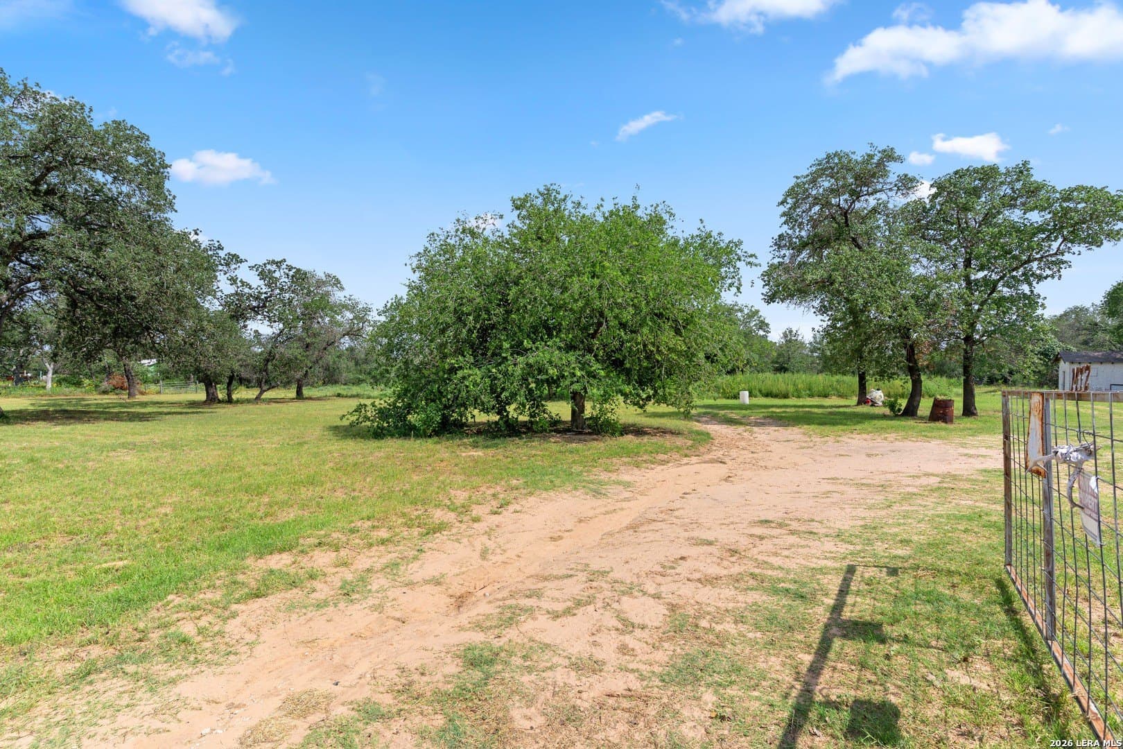10.26 acres in Atascosa County gallery image 4