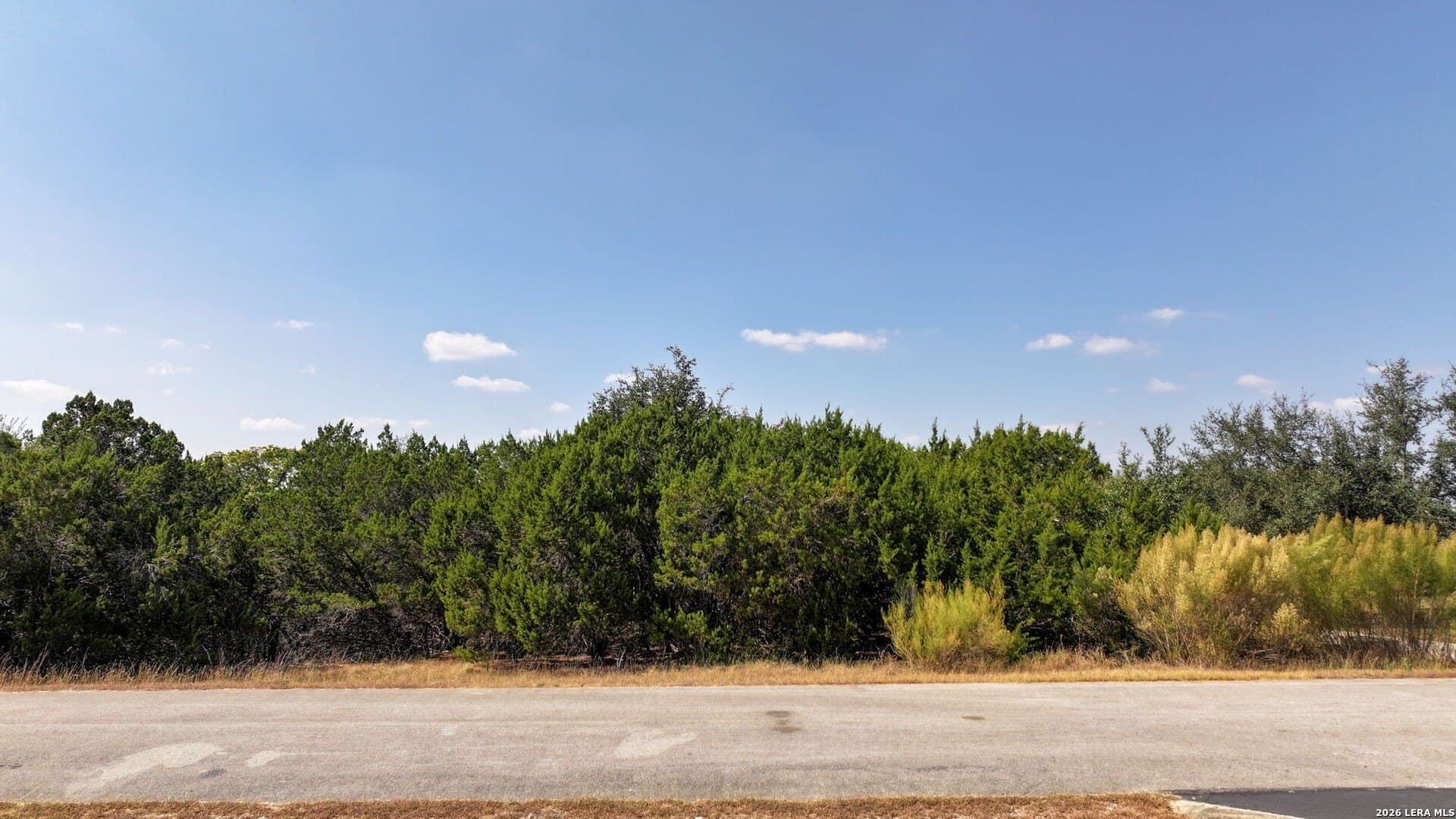 2 acres in Comal County gallery image 3
