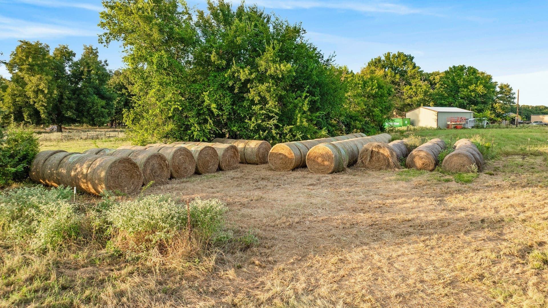67.33 acres in Lamar County - photo 23