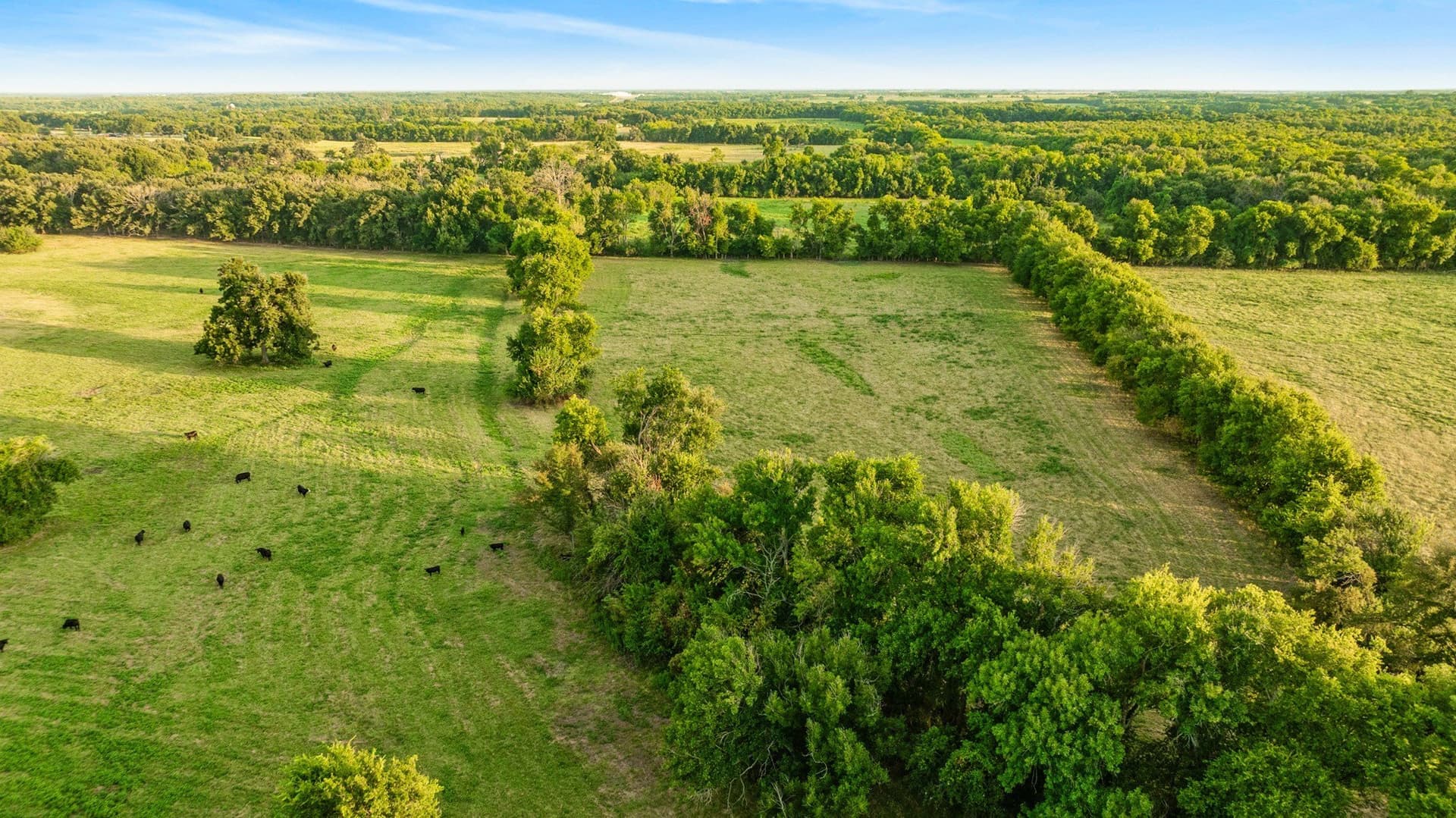 67.33 acres in Lamar County - photo 32