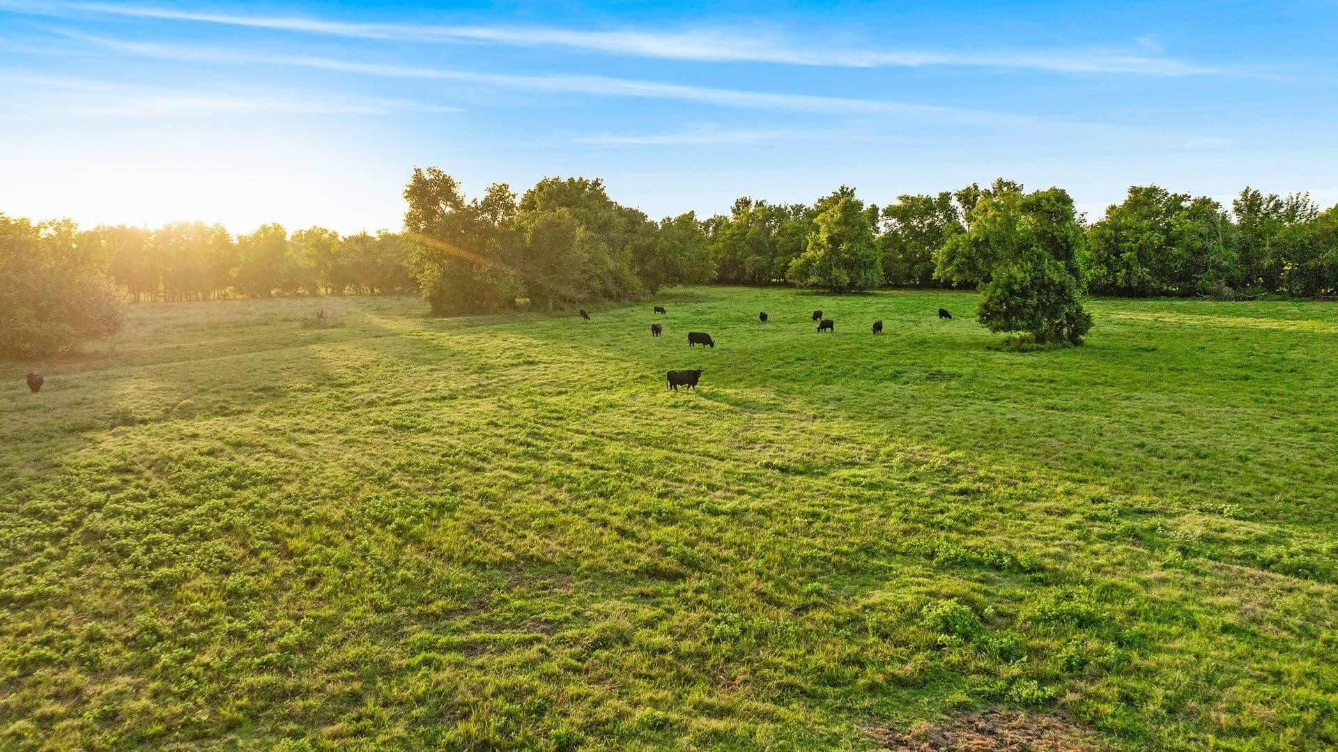 67.33 acres in Lamar County - photo 30