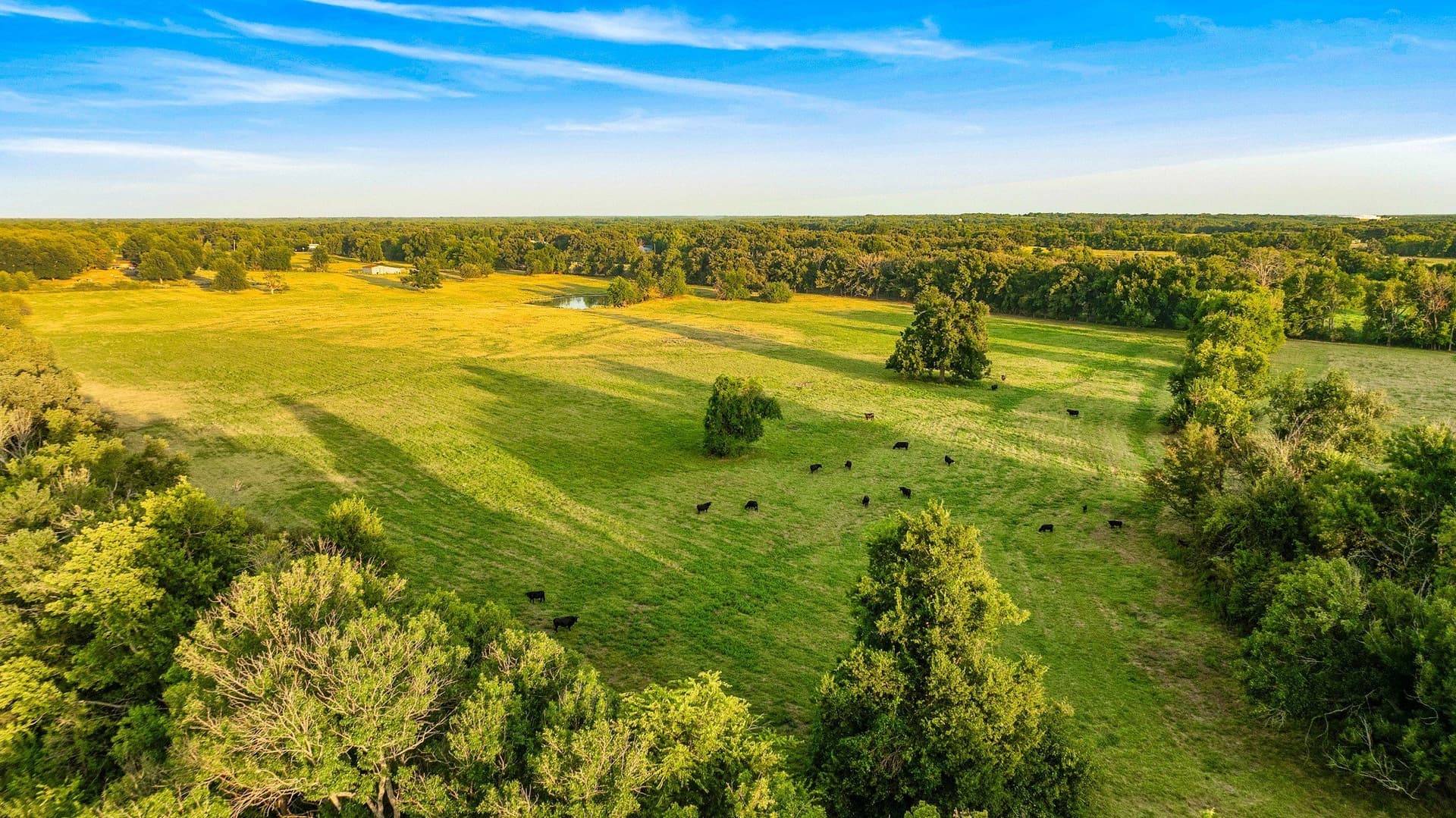 67.33 acres in Lamar County - photo 33