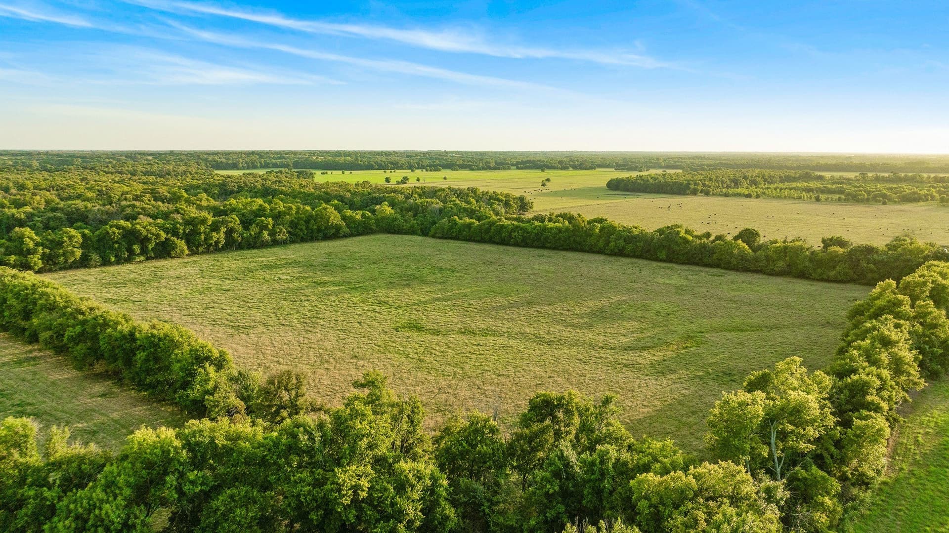 67.33 acres in Lamar County - photo 31