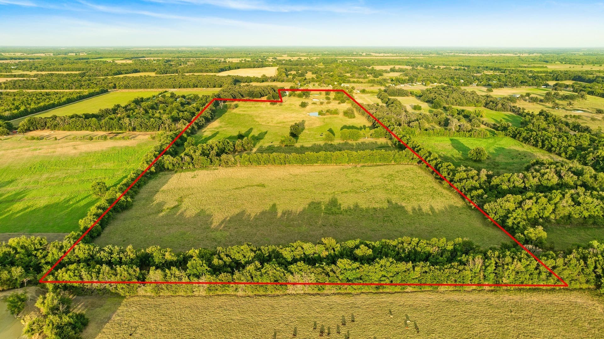 67.33 acres in Lamar County - photo 9