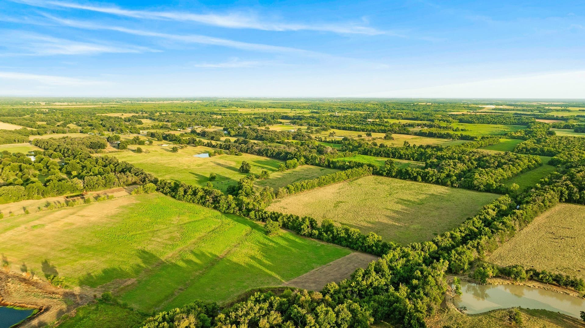 67.33 acres in Lamar County - photo 7