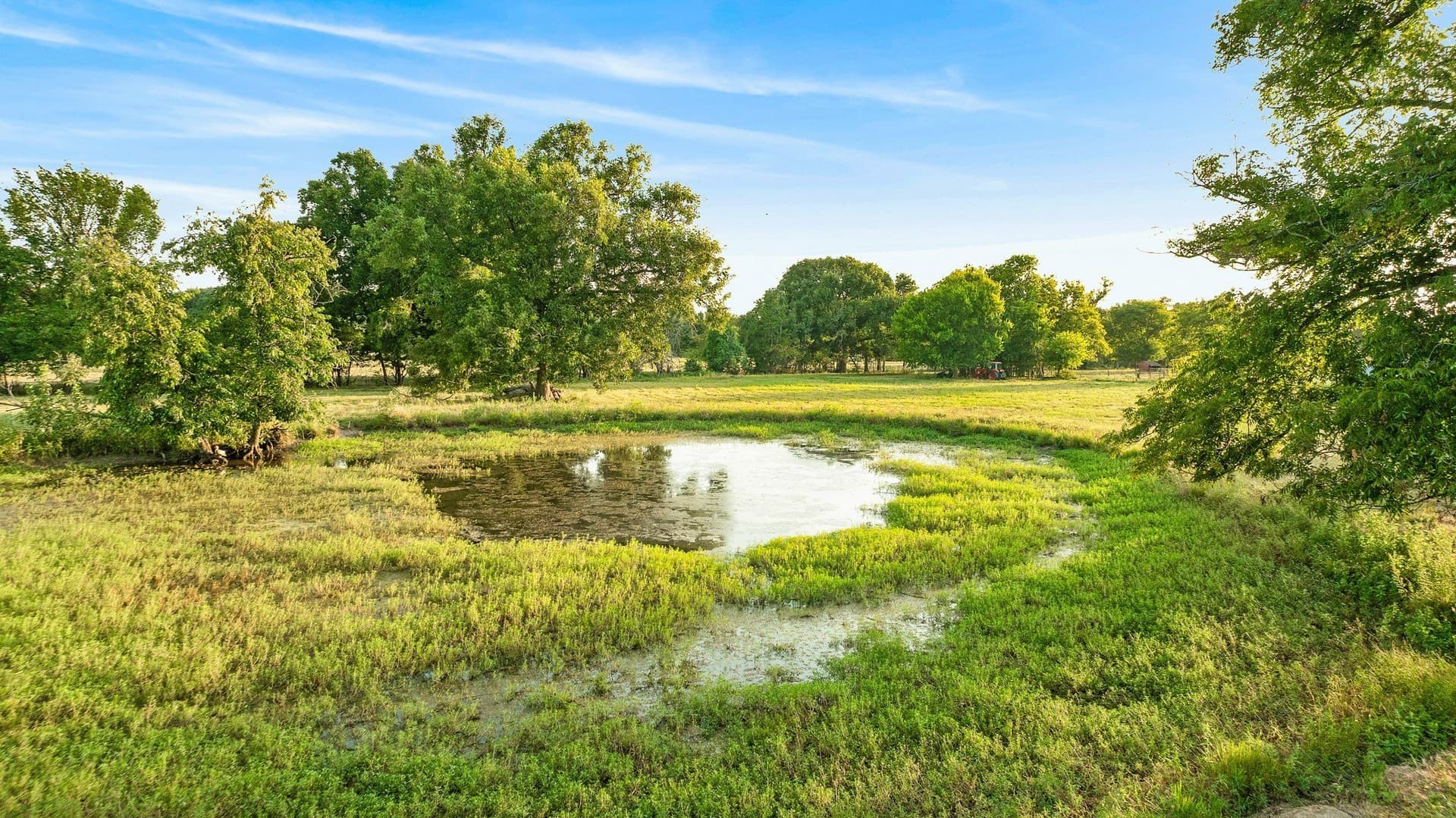 67.33 acres in Lamar County - photo 22