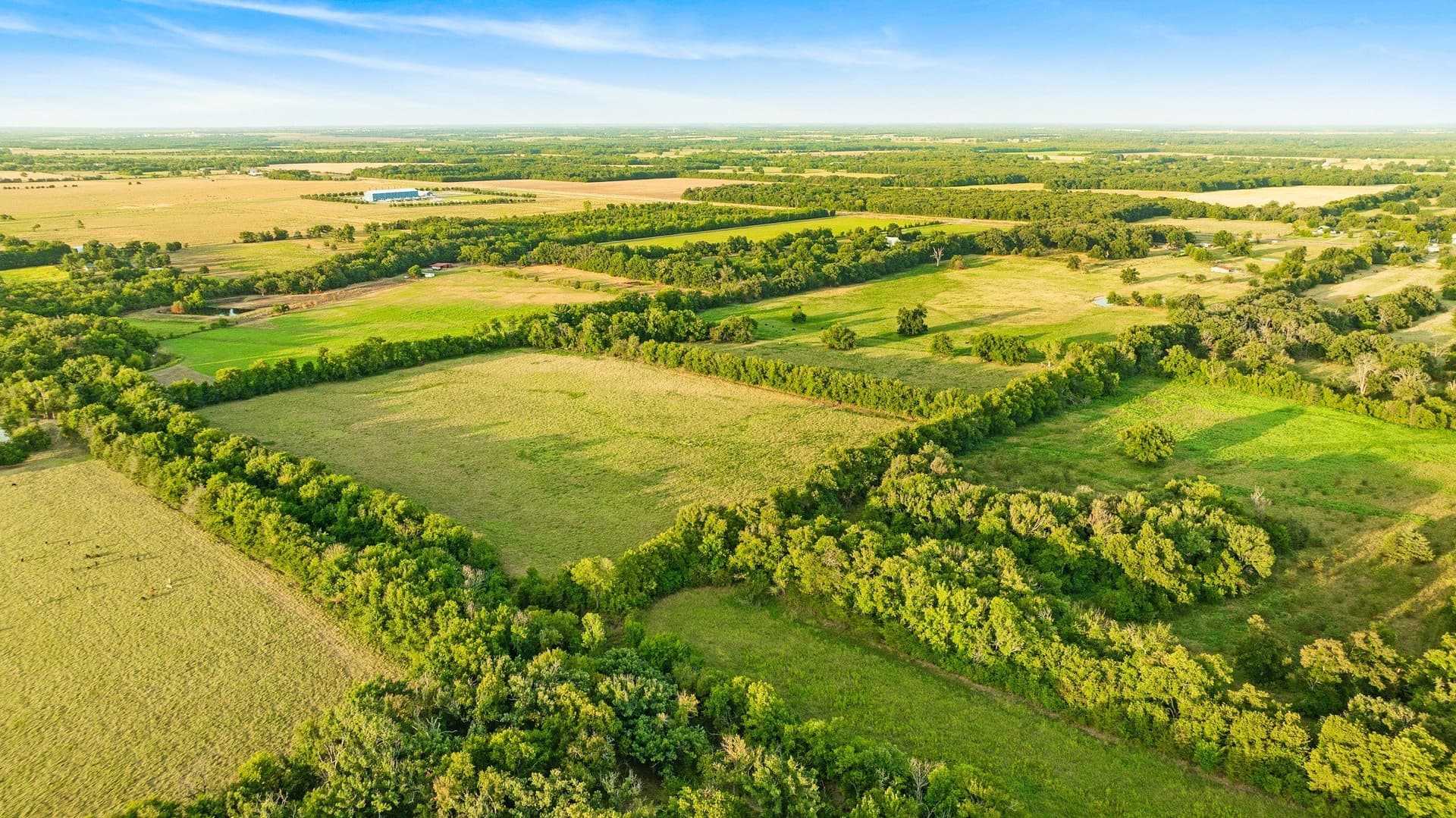 67.33 acres in Lamar County - photo 10