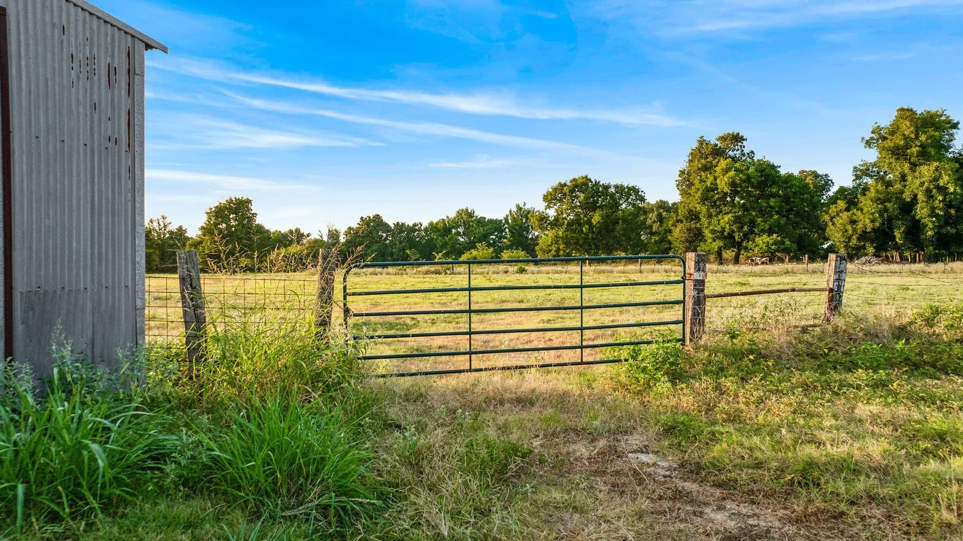 67.33 acres in Lamar County - photo 38