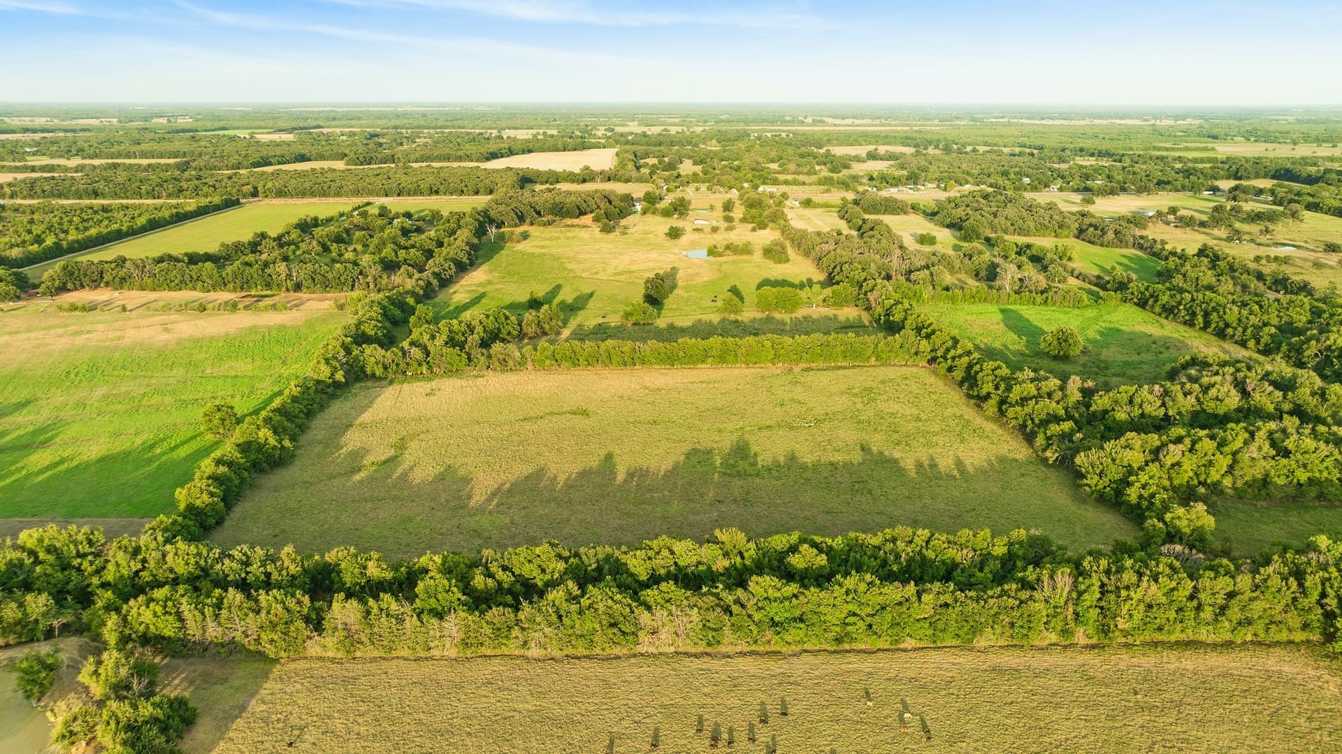 67.33 acres in Lamar County - photo 8