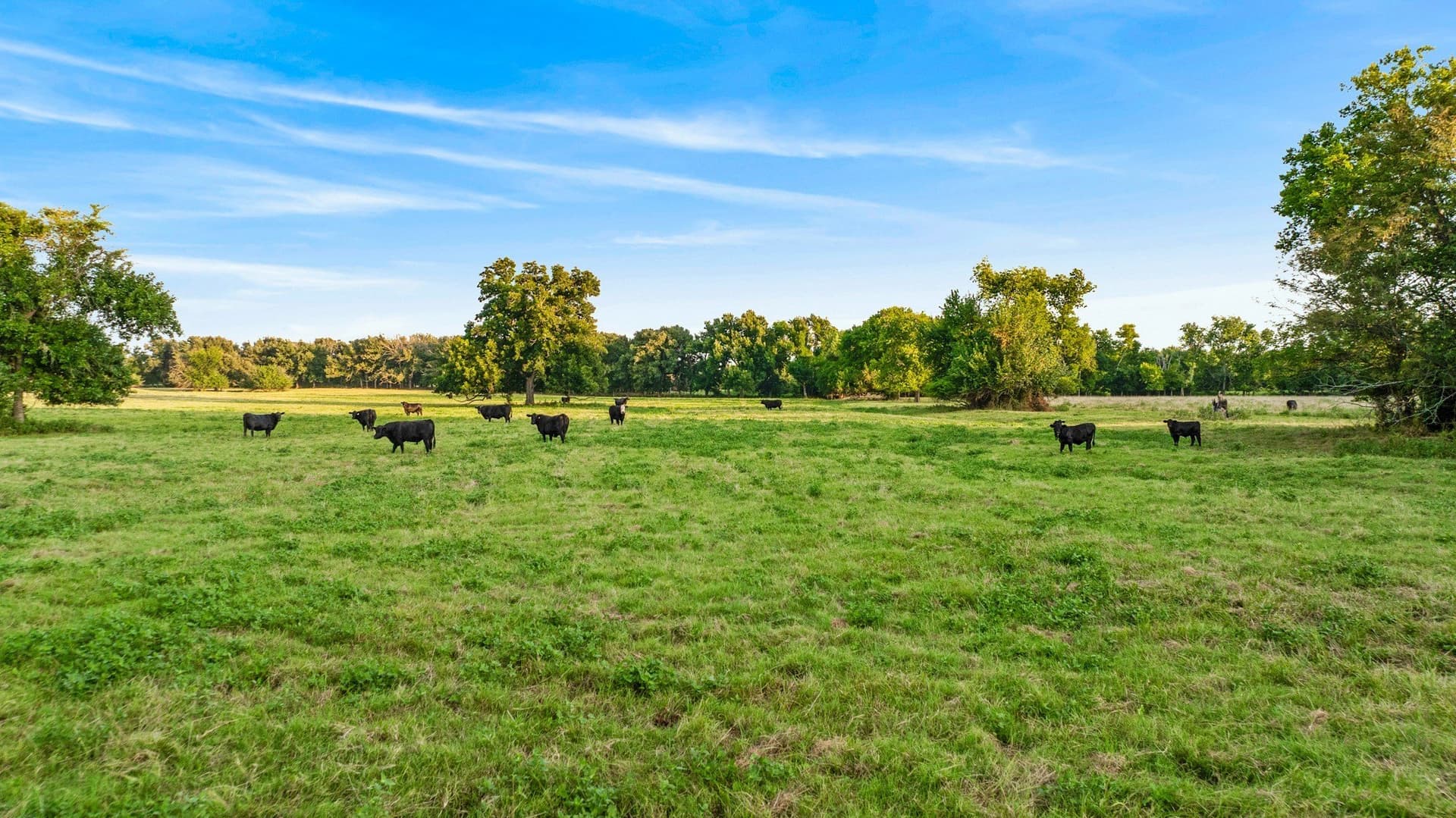 67.33 acres in Lamar County - photo 34