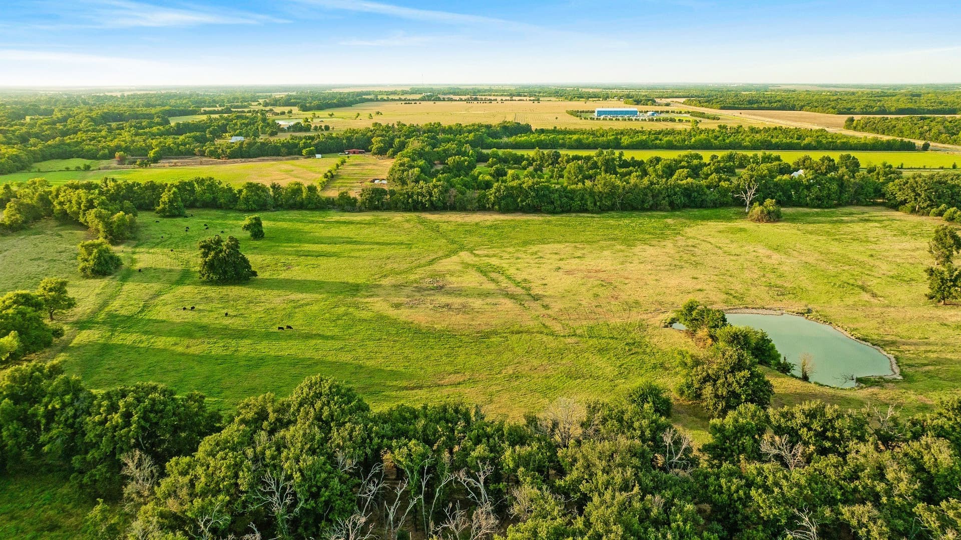 67.33 acres in Lamar County - photo 14