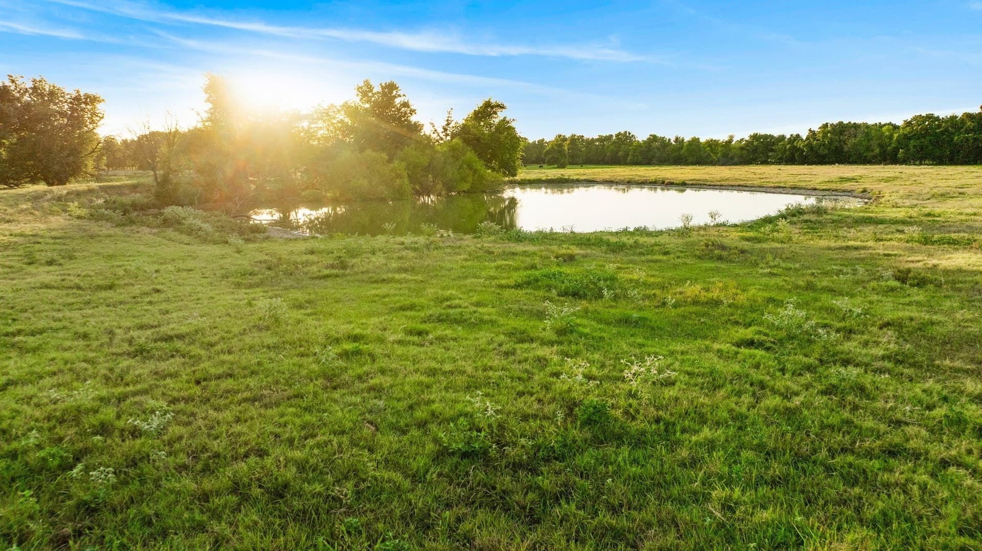 67.33 acres in Lamar County - photo 26