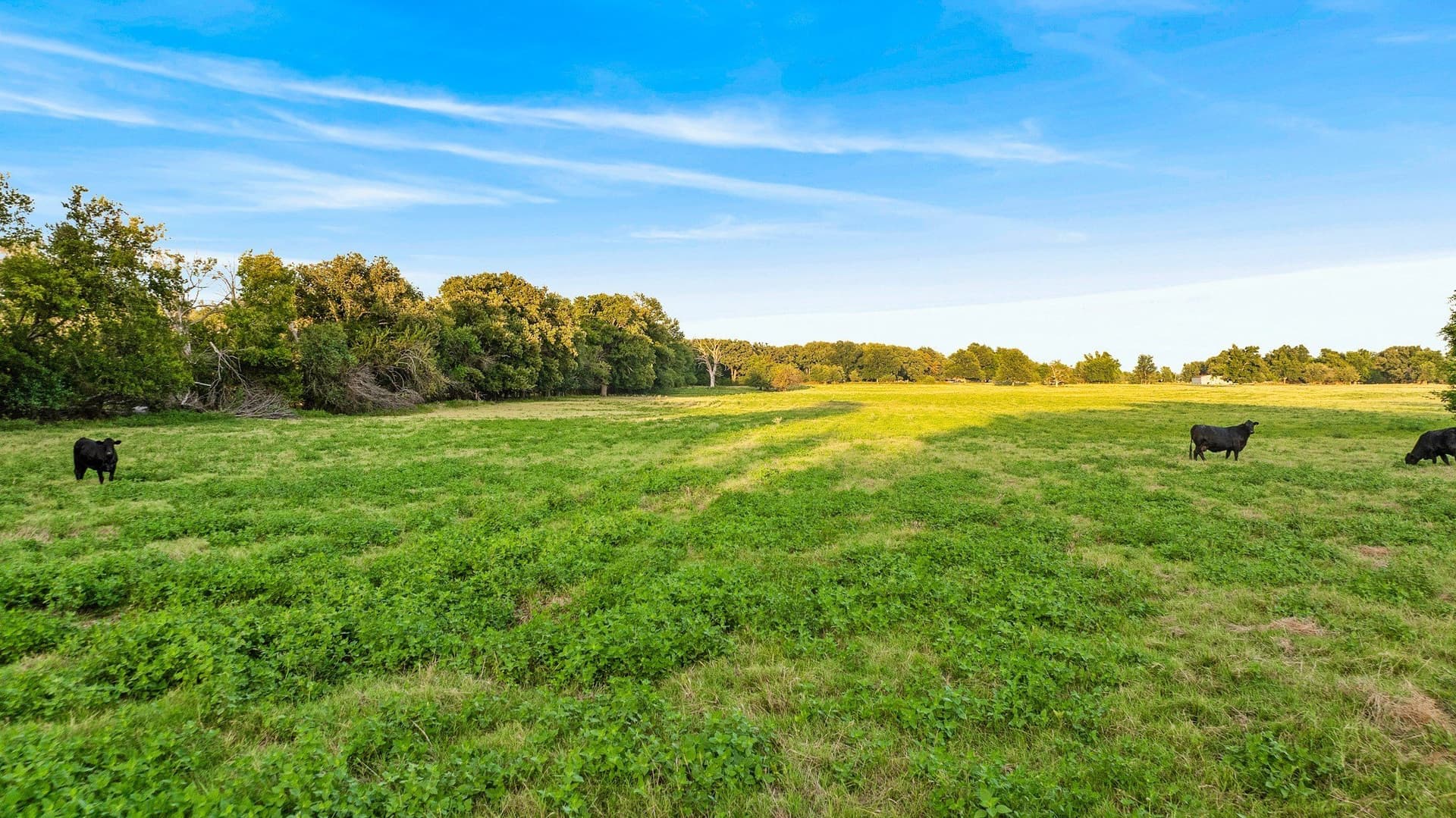 67.33 acres in Lamar County - photo 35