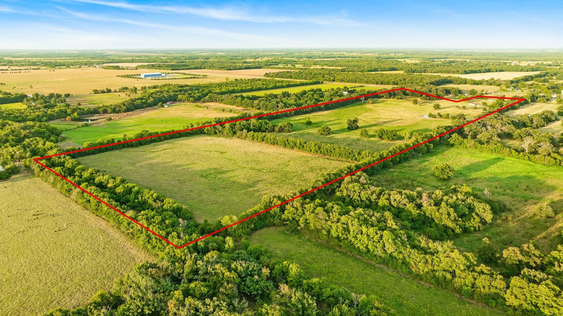 67.33 acres in Lamar County - photo 11